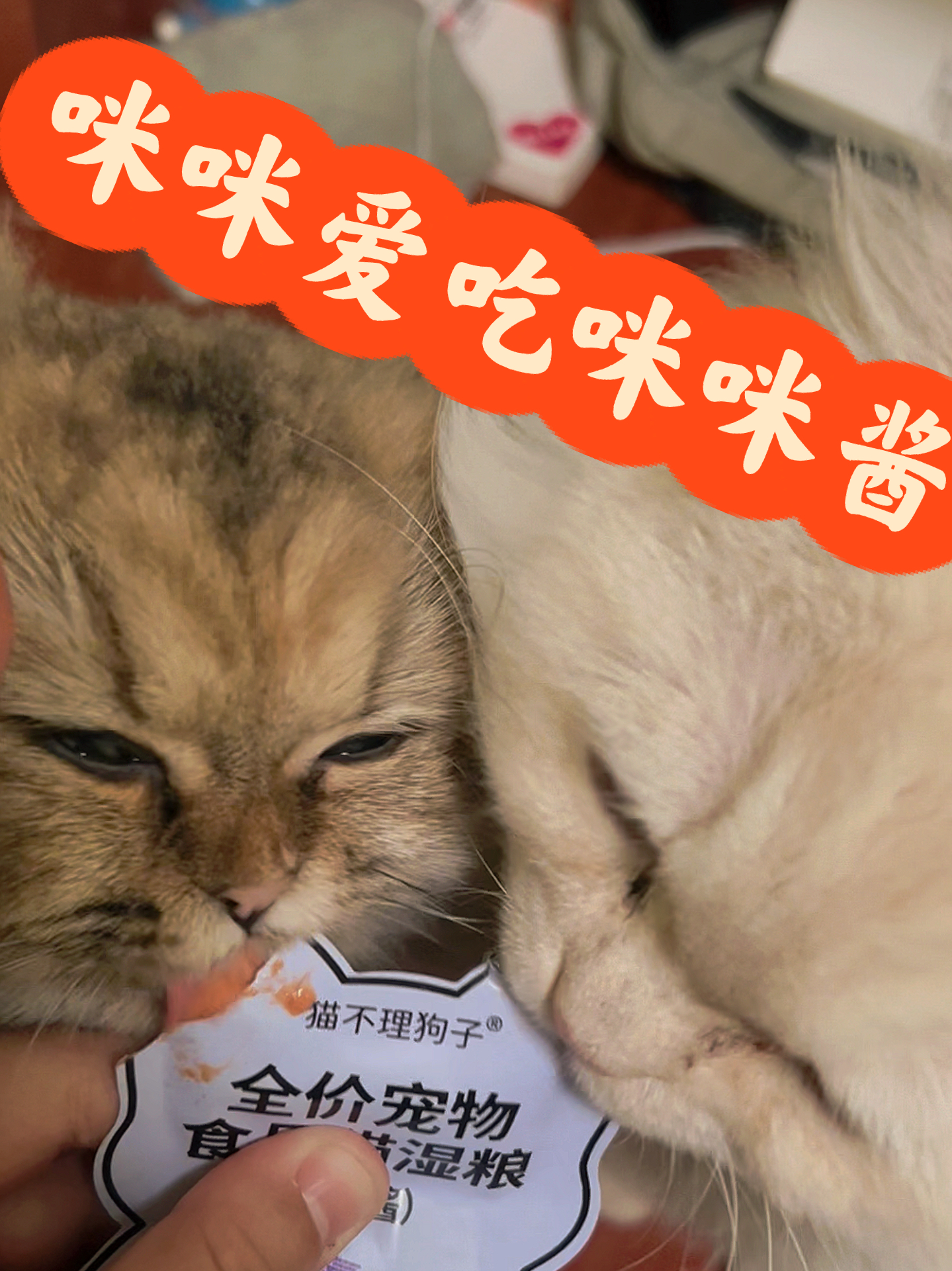爱咪咪最新网址
