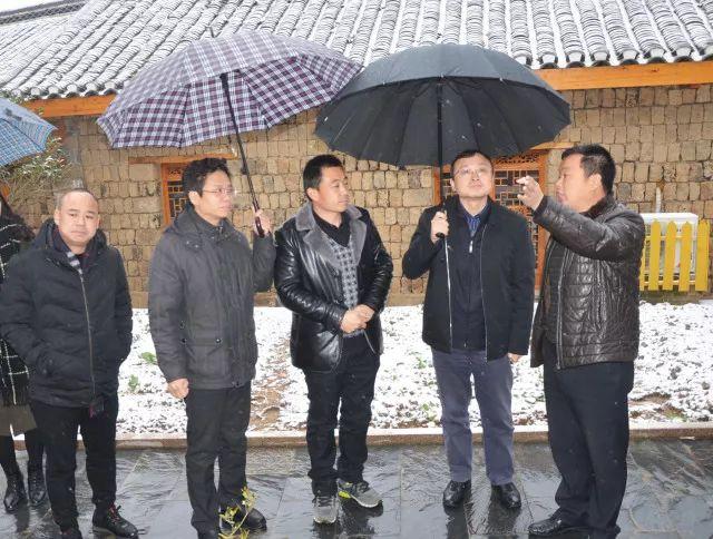 大悟新城镇探索自然美景之旅，最新新闻与治愈之旅启程！