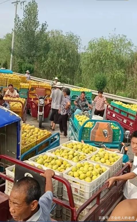 平邑最新房屋出售信息，家园变迁与自我成长的力量