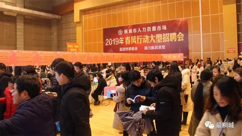 桐城网最新招聘信息