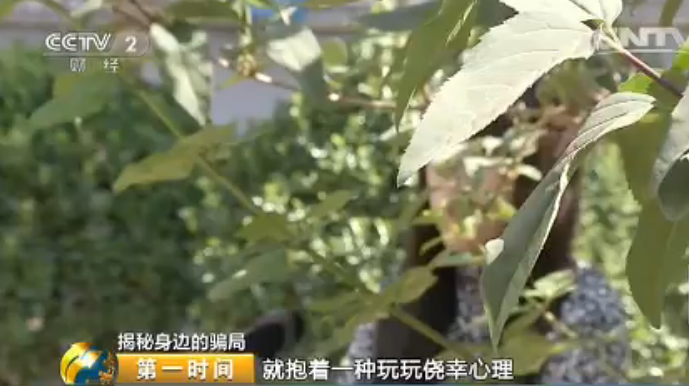 丰果游天下最新动态揭秘，全面指南助你轻松掌握旅游资讯！