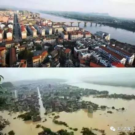 湖南水灾最新动态，2025年灾情报告