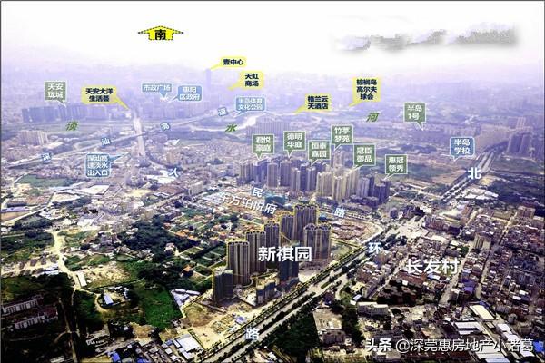 惠州新祺园最新动态，家的温馨与友情的绽放时刻