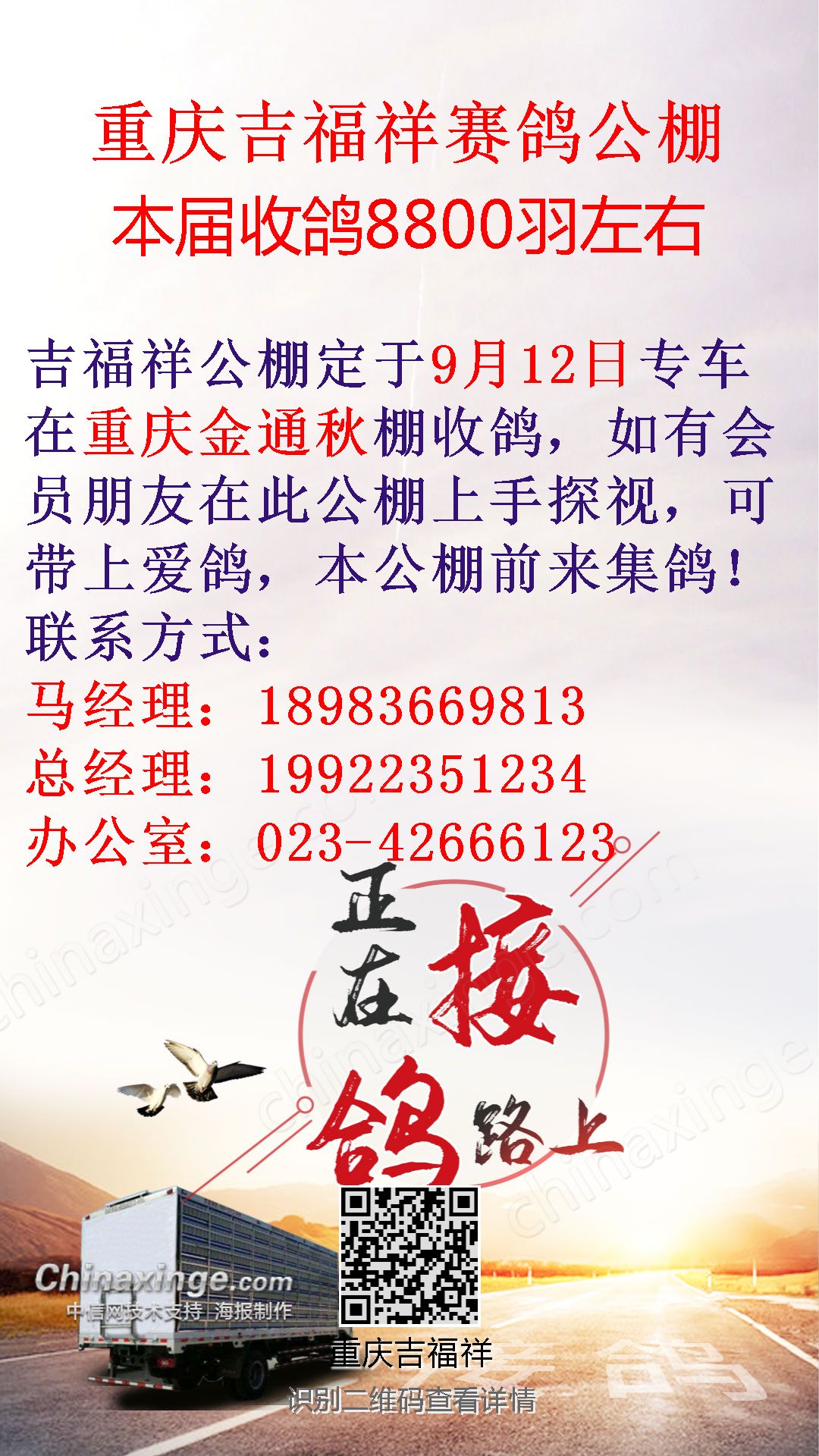 重庆信鸽公棚最新公告