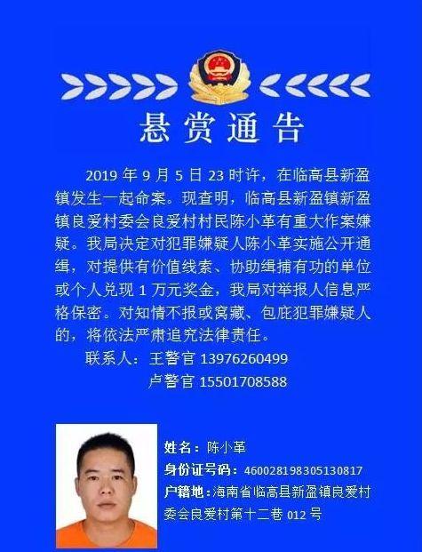 临高最新命案凶手相片揭秘，寻找与识别凶手的详细步骤指南