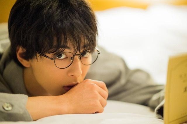 人与宠物关系的现代演变及观点争议，深度解析若宠入骨最新章节
