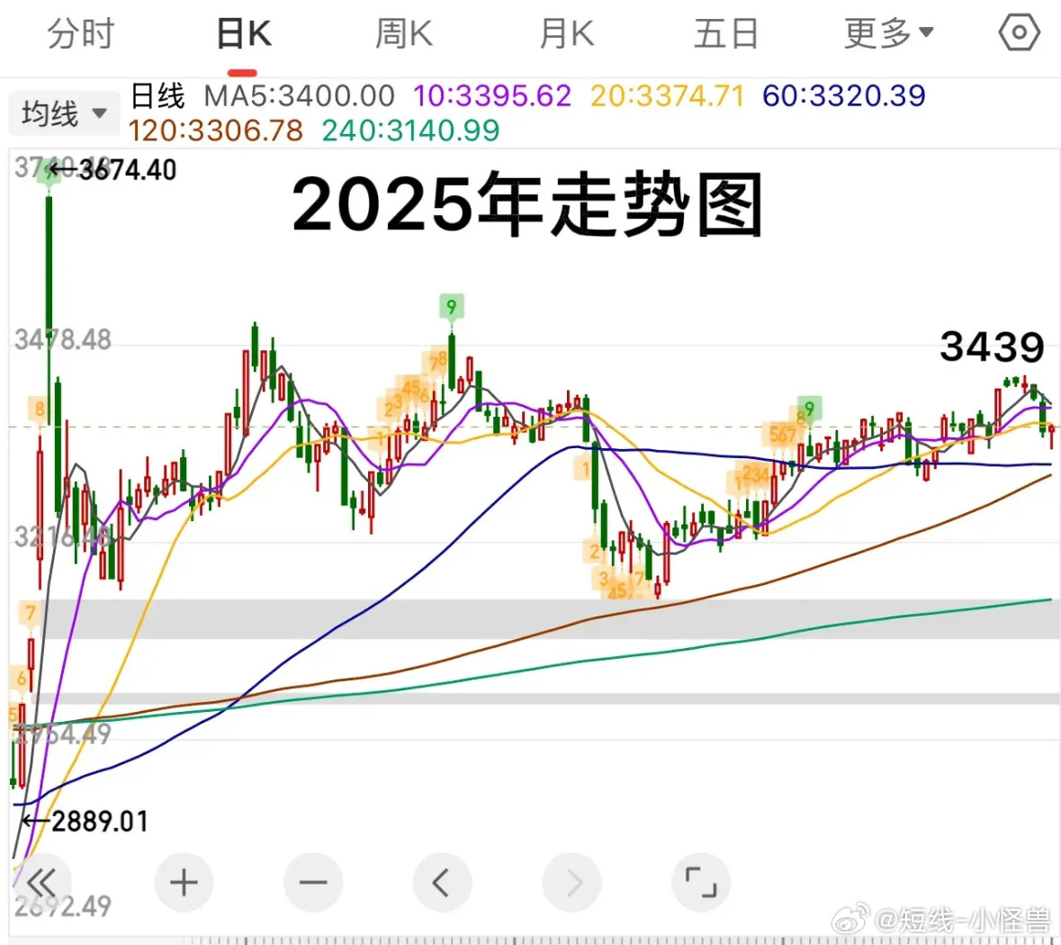 2025石龟最新价格图及市场走势分析