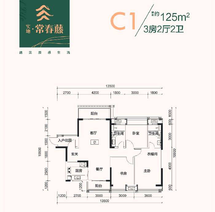 实地常青藤最新价格，一段友情与陪伴的温馨故事